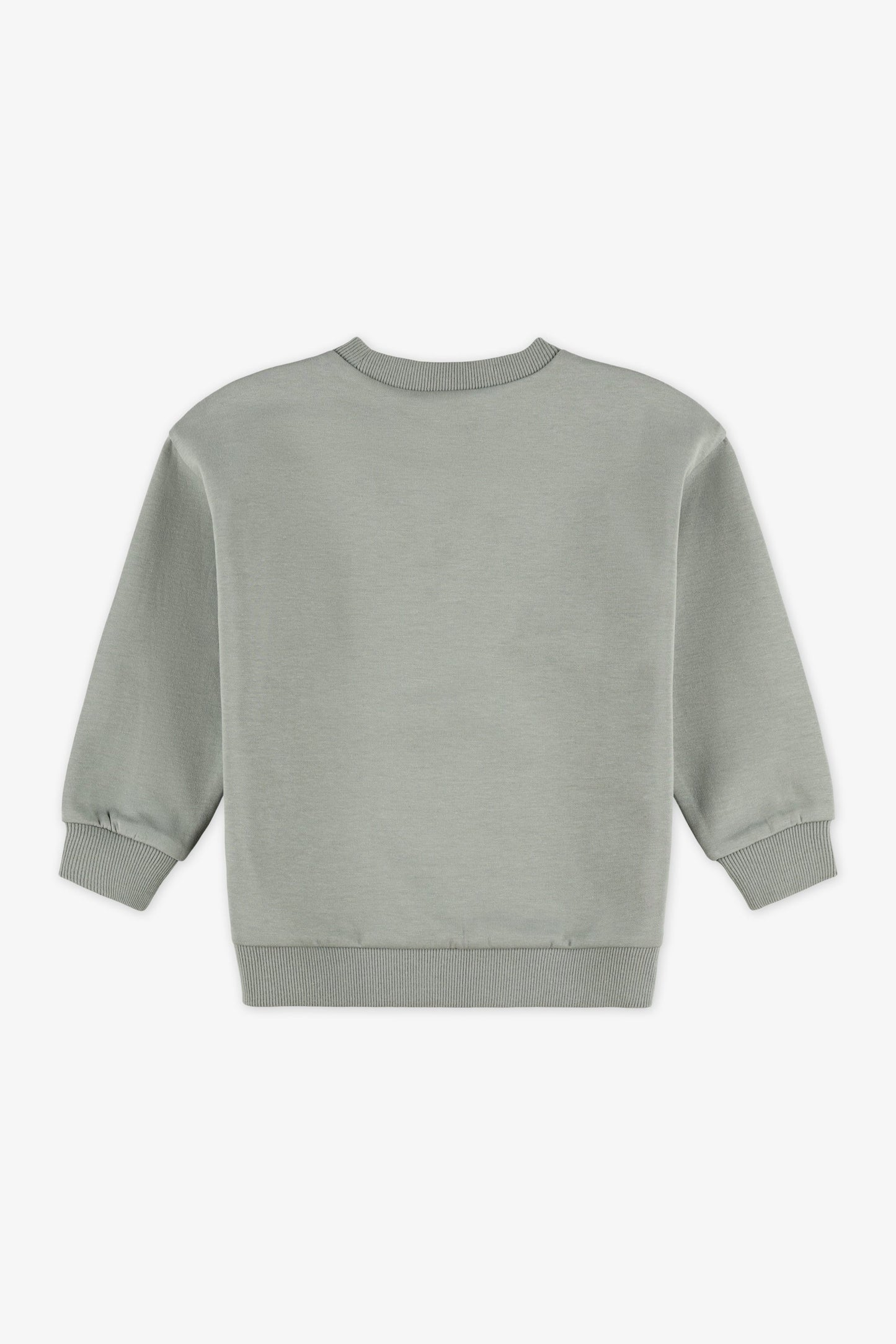 Chandail ouaté col rond imprimé - Bébé garçon && KAKI