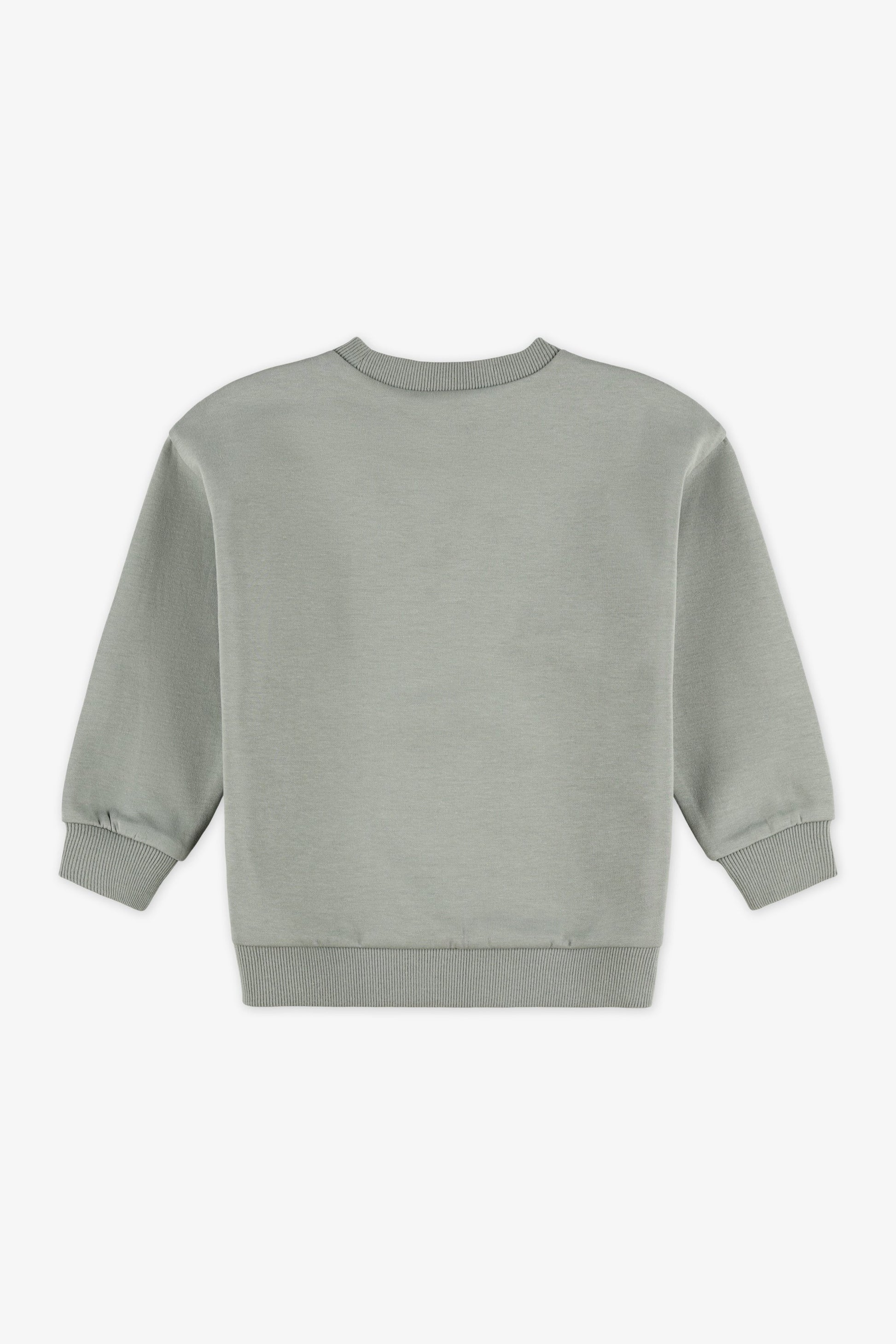 Chandail ouaté col rond imprimé - Bébé garçon && KAKI
