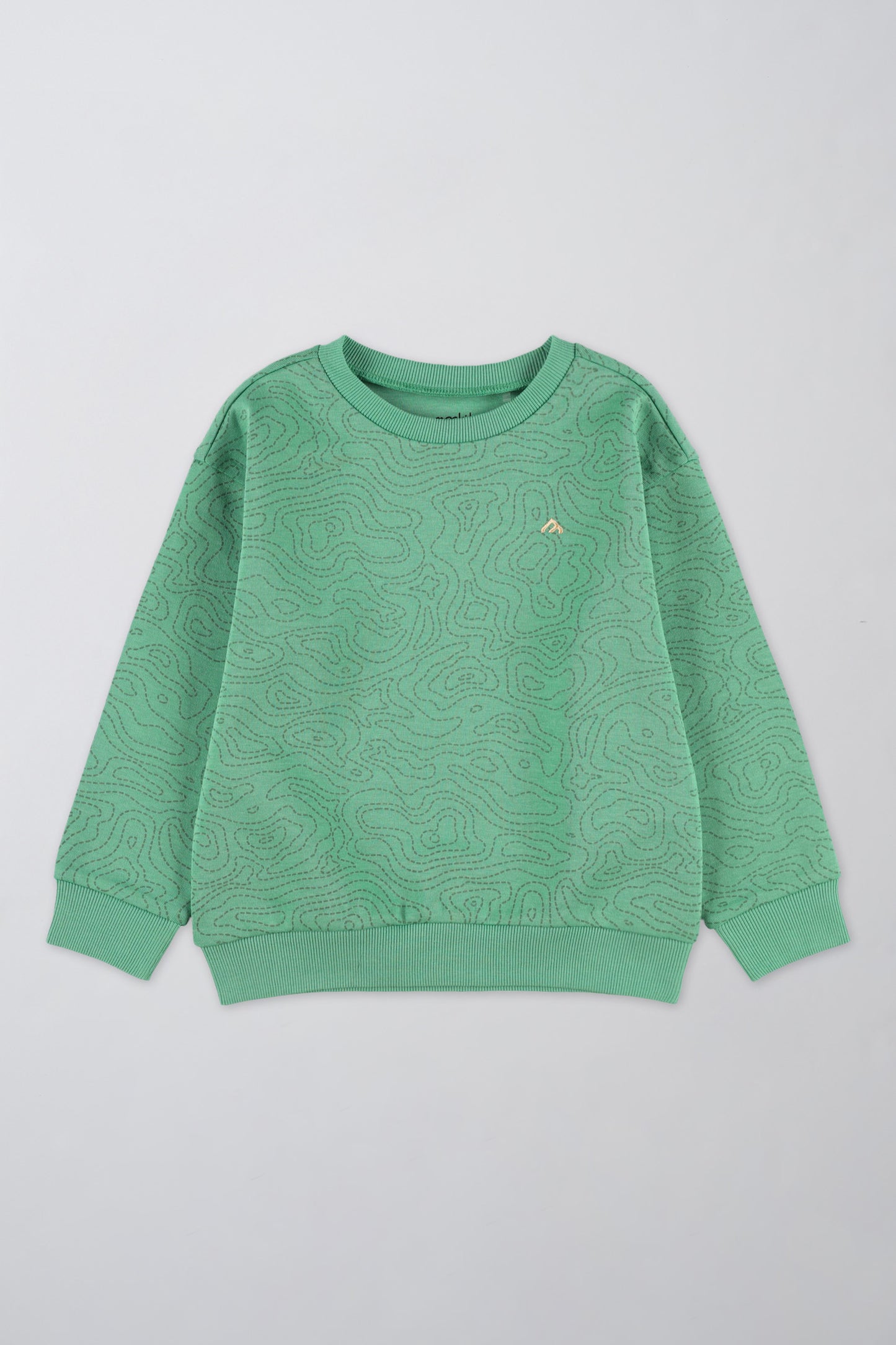 Chandail en coton ouaté confortable - Enfant garçon && VERT/MULTI