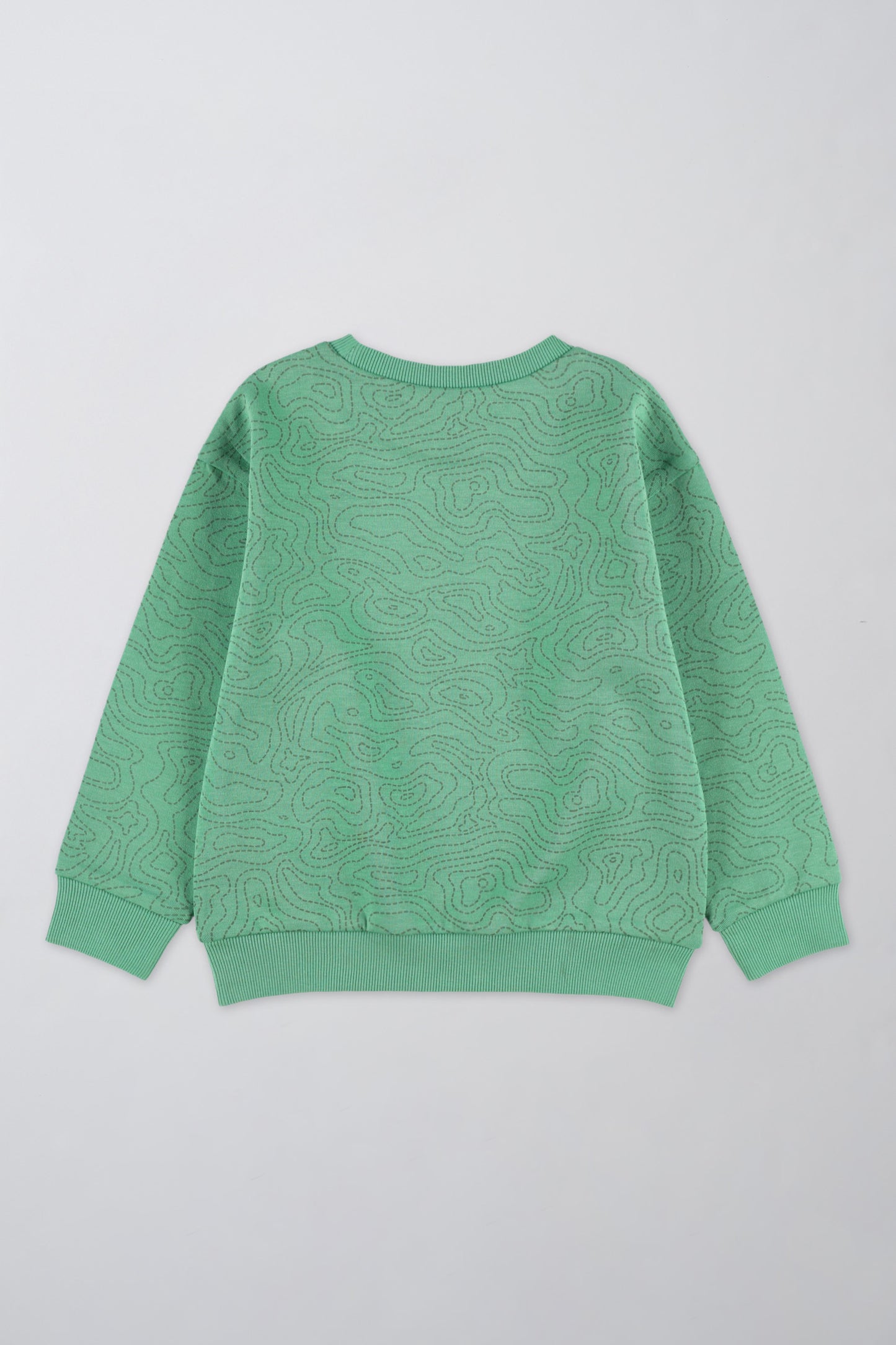 Chandail en coton ouaté confortable - Enfant garçon && VERT/MULTI
