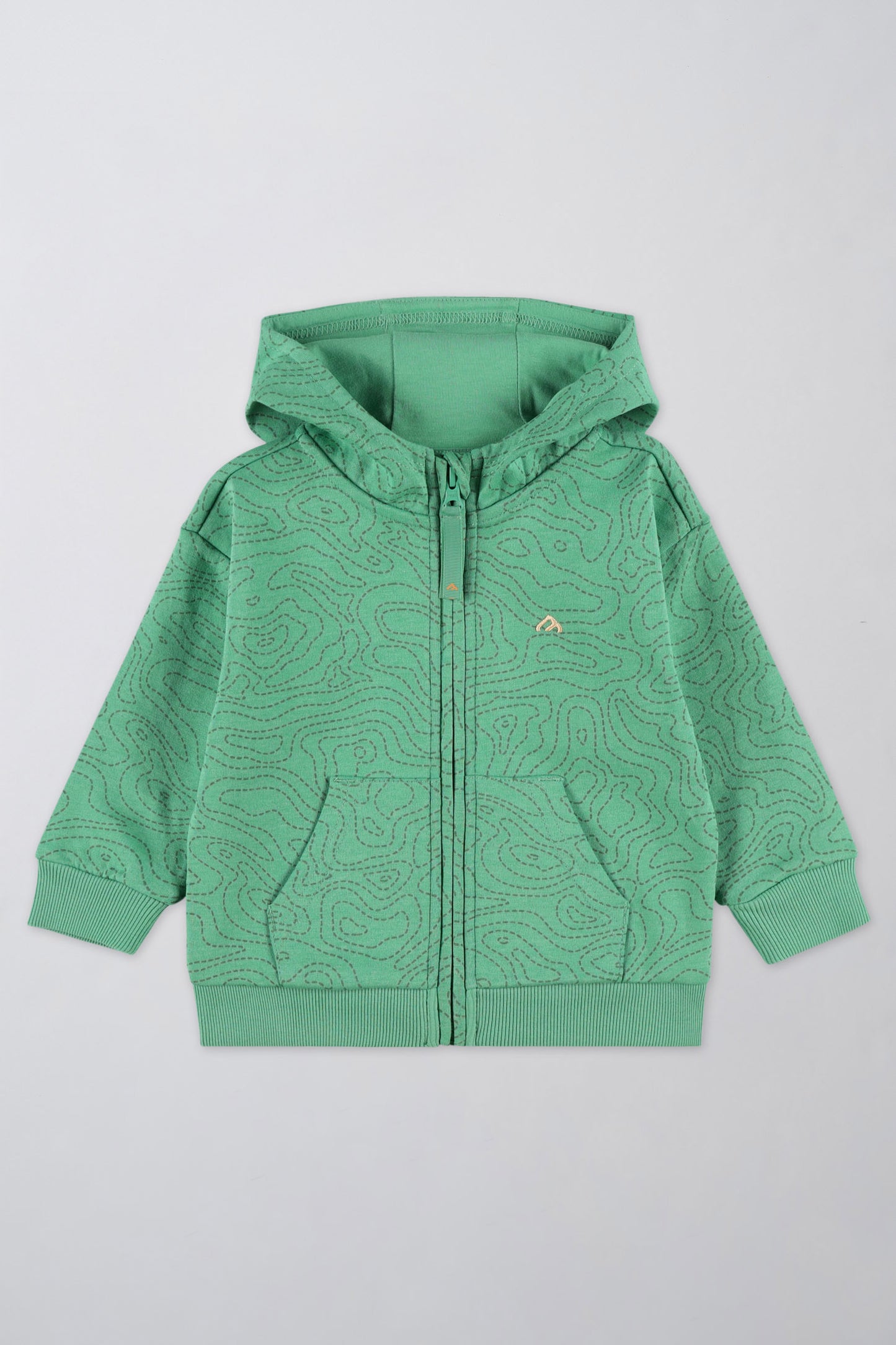 Veste en coton ouaté à capuchon - Bébé garçon && VERT/MULTI