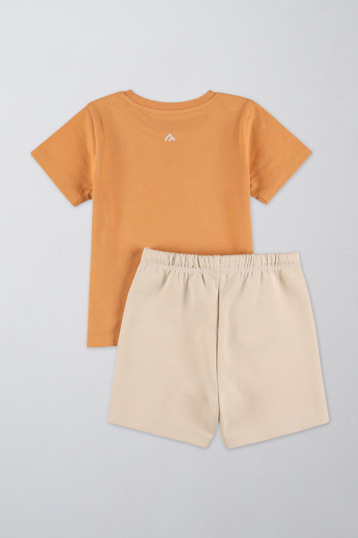 Ensemble coloré avec t-shirt et short - Bébé garçon && BRUN