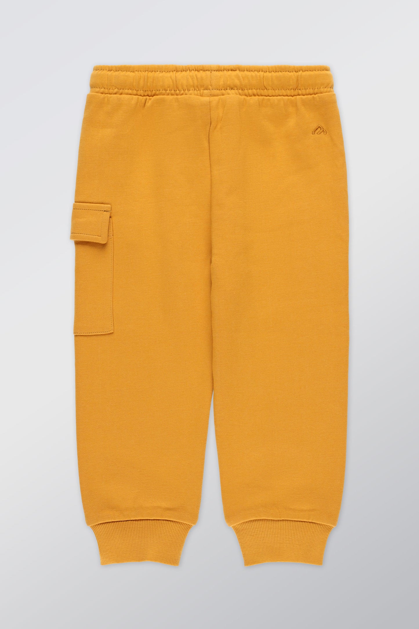 Pantalon jogger extensible, 2T-3T - Bébé garçon && OCRE